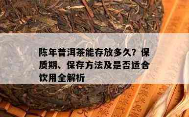 陈年普洱茶能存放多久？保质期、保存方法及是否适合饮用全解析