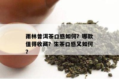 雨林普洱茶口感如何？哪款值得收藏？生茶口感又如何？