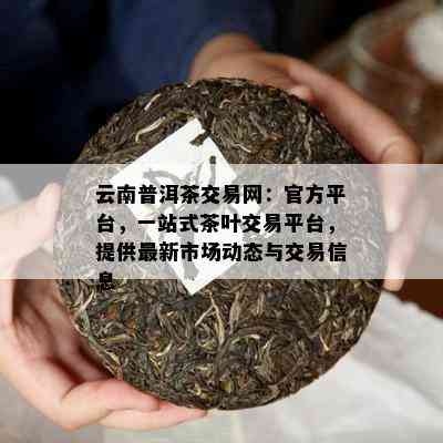 云南普洱茶交易网：官方平台，一站式茶叶交易平台，提供最新市场动态与交易信息