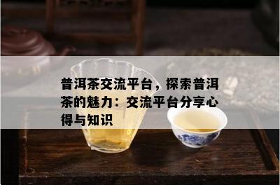 普洱茶交流平台，探索普洱茶的魅力：交流平台分享心得与知识