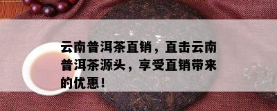 云南普洱茶直销，直击云南普洱茶源头，享受直销带来的优惠！