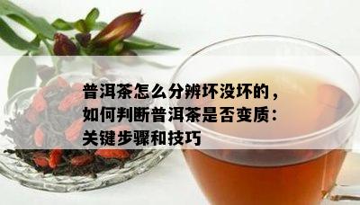 普洱茶怎么分辨坏没坏的，如何判断普洱茶是否变质：关键步骤和技巧