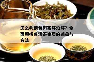 怎么判断普洱茶坏没坏？全面解析普洱茶变质的迹象与方法