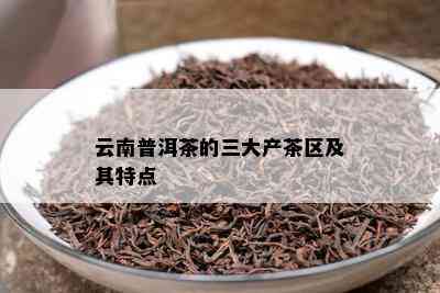 云南普洱茶的三大产茶区及其特点