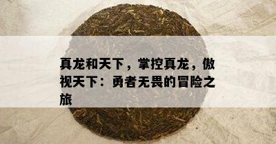 真龙和天下，掌控真龙，傲视天下：勇者无畏的冒险之旅