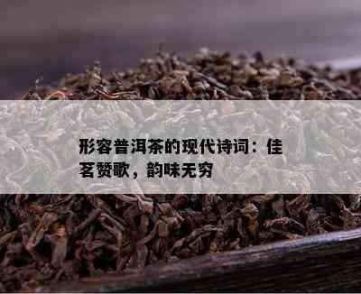 形容普洱茶的现代诗词：佳茗赞歌，韵味无穷