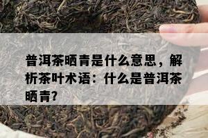 普洱茶晒青是什么意思，解析茶叶术语：什么是普洱茶晒青？