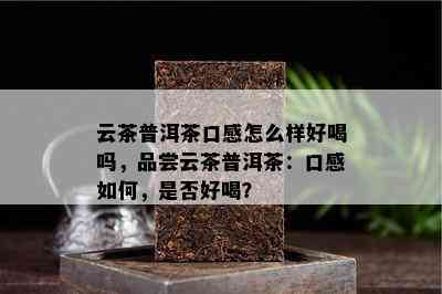 云茶普洱茶口感怎么样好喝吗，品尝云茶普洱茶：口感如何，是否好喝？