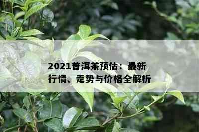 2021普洱茶预估：最新行情、走势与价格全解析