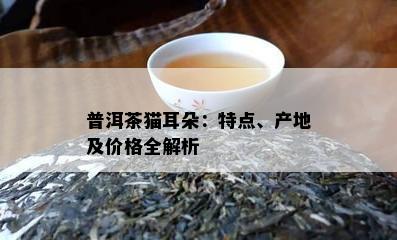 普洱茶猫耳朵：特点、产地及价格全解析