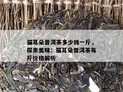 猫耳朵普洱茶多少钱一斤，探索美味：猫耳朵普洱茶每斤价格解析