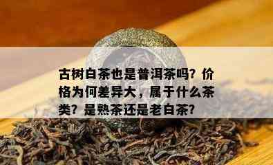 古树白茶也是普洱茶吗？价格为何差异大，属于什么茶类？是熟茶还是老白茶？