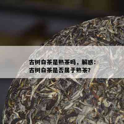 古树白茶是熟茶吗，解惑：古树白茶是否属于熟茶？