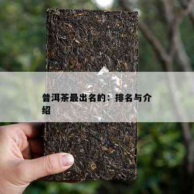 普洱茶最出名的：排名与介绍