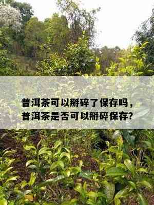 普洱茶可以掰碎了保存吗，普洱茶是否可以掰碎保存？