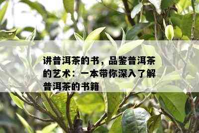 讲普洱茶的书，品鉴普洱茶的艺术：一本带你深入了解普洱茶的书籍