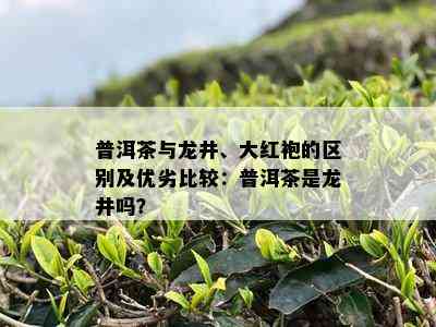 普洱茶与龙井、大红袍的区别及优劣比较：普洱茶是龙井吗？