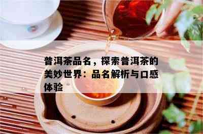 普洱茶品名，探索普洱茶的美妙世界：品名解析与口感体验