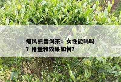 痛风熟普洱茶：女性能喝吗？用量和效果如何？