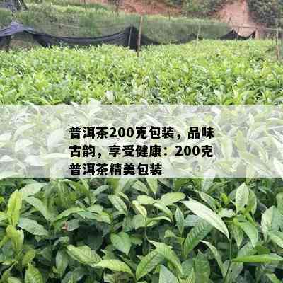 普洱茶200克包装，品味古韵，享受健康：200克普洱茶精美包装