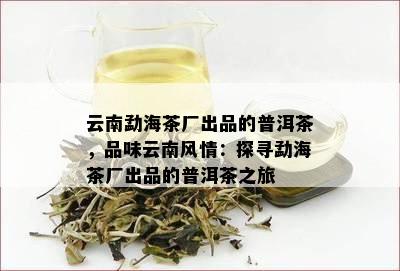 云南勐海茶厂出品的普洱茶，品味云南风情：探寻勐海茶厂出品的普洱茶之旅