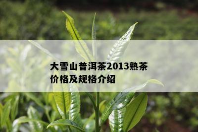 大雪山普洱茶2013熟茶价格及规格介绍