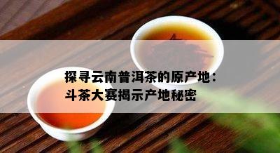 探寻云南普洱茶的原产地：斗茶大赛揭示产地秘密