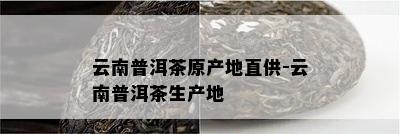 云南普洱茶原产地直供-云南普洱茶生产地