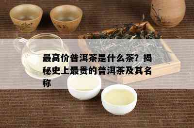 更高价普洱茶是什么茶？揭秘史上最贵的普洱茶及其名称