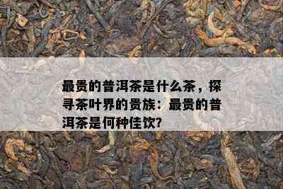 最贵的普洱茶是什么茶，探寻茶叶界的贵族：最贵的普洱茶是何种佳饮？