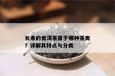 长条的普洱茶属于哪种茶类？详解其特点与分类