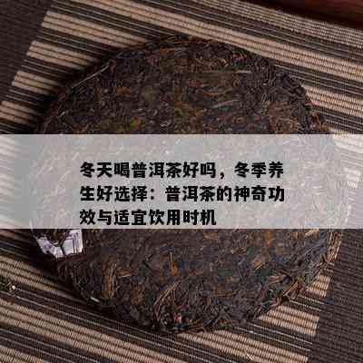 冬天喝普洱茶好吗，冬季养生好选择：普洱茶的神奇功效与适宜饮用时机