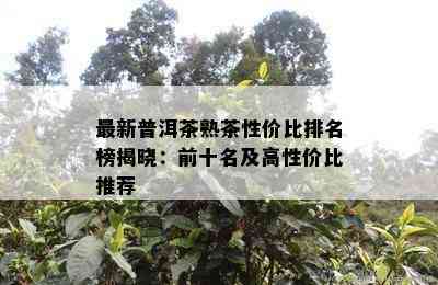 最新普洱茶熟茶性价比排名榜揭晓：前十名及高性价比推荐