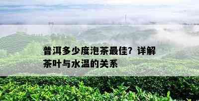 普洱多少度泡茶更佳？详解茶叶与水温的关系