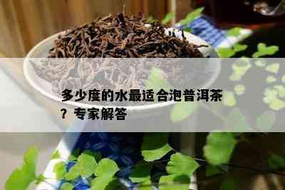 多少度的水最适合泡普洱茶？专家解答