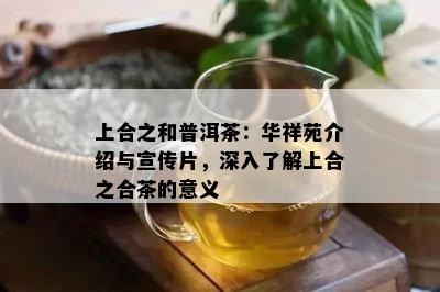 上合之和普洱茶：华祥苑介绍与宣传片，深入了解上合之合茶的意义