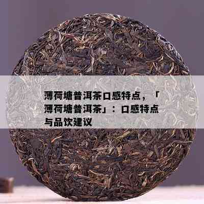 薄荷塘普洱茶口感特点，「薄荷塘普洱茶」：口感特点与品饮建议