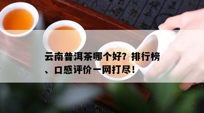 云南普洱茶哪个好？排行榜、口感评价一网打尽！