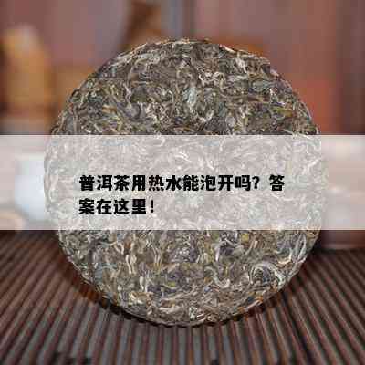 普洱茶用热水能泡开吗？答案在这里！