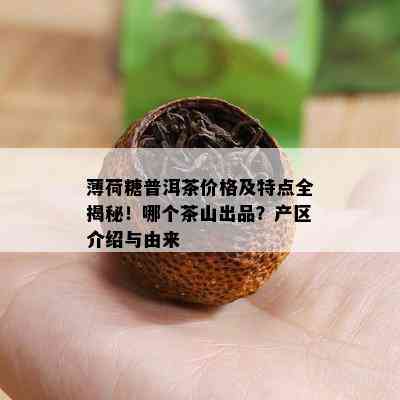 薄荷糖普洱茶价格及特点全揭秘！哪个茶山出品？产区介绍与由来