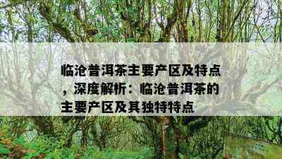 临沧普洱茶主要产区及特点，深度解析：临沧普洱茶的主要产区及其独特特点