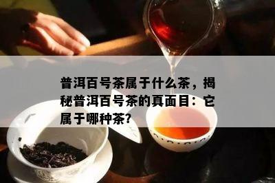 普洱百号茶属于什么茶，揭秘普洱百号茶的真面目：它属于哪种茶？