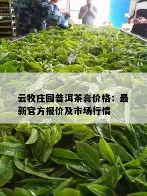 云牧庄园普洱茶膏价格：最新官方报价及市场行情