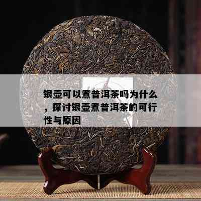 银壶可以煮普洱茶吗为什么，探讨银壶煮普洱茶的可行性与原因