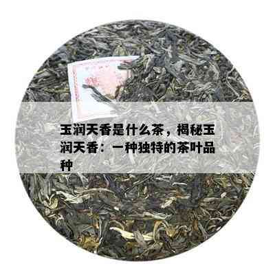 玉润天香是什么茶，揭秘玉润天香：一种独特的茶叶品种