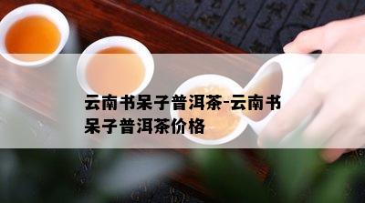 云南书呆子普洱茶-云南书呆子普洱茶价格