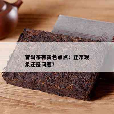 普洱茶有黄色点点：正常现象还是问题？