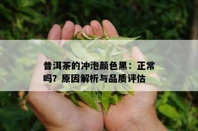 普洱茶的冲泡颜色黑：正常吗？原因解析与品质评估