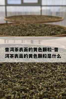 普洱茶表面的黄色颗粒-普洱茶表面的黄色颗粒是什么