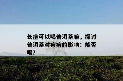 长痘可以喝普洱茶嘛，探讨普洱茶对痘痘的影响：能否喝？